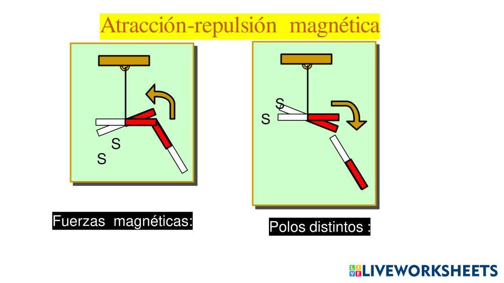 Campo Magnetico | Live Worksheets